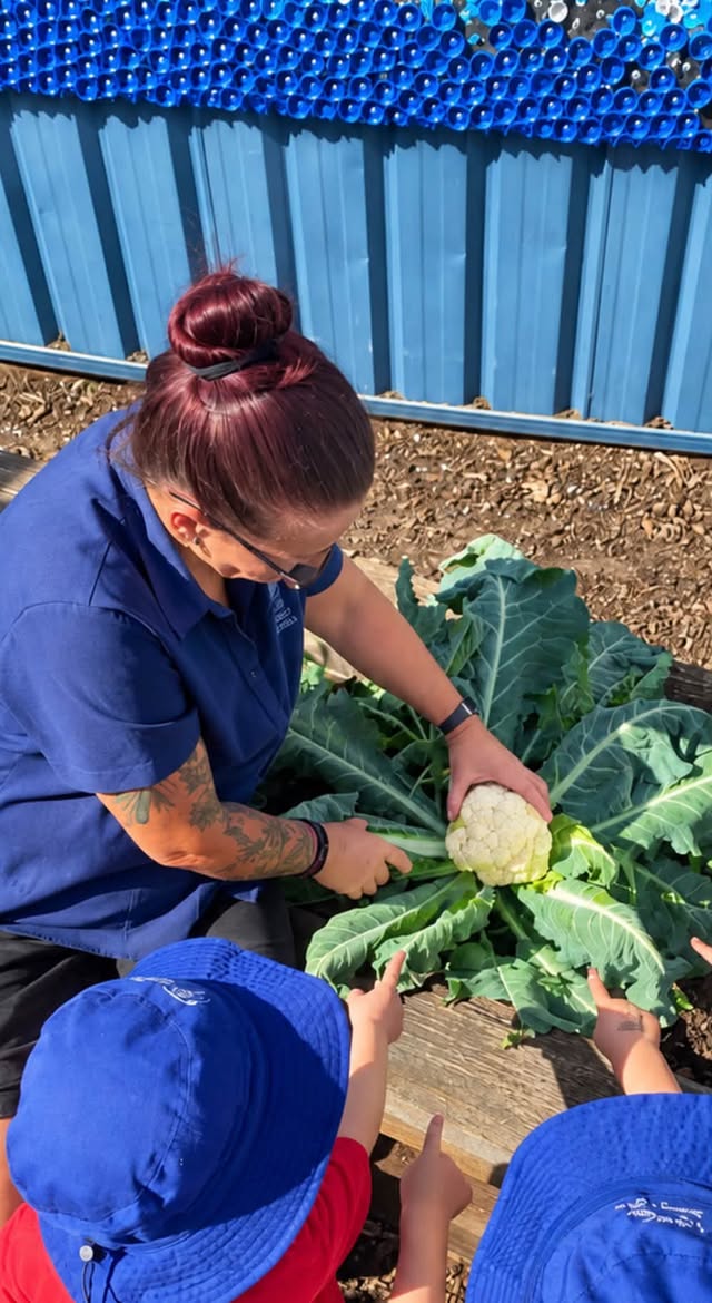 From Garden to Table at Lakeview